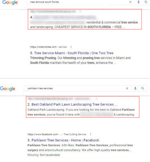 seo case 5 result 1